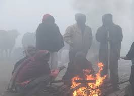 प्रदेश में सर्दी का सितम जारी, पचमढ़ी-कल्याणपुर रहे सबसे ठंडे, 24 घंटे बाद बढ़ेगी और ठंड