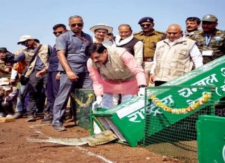 वन्य-जीव संरक्षण और संवर्धन हमारी प्राथमिकता : मुख्यमंत्री डॉ. यादव