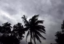 तपती गर्मी और लू के बीच आईएमडी का अलर्ट, इन राज्यों में होगी झमाझम बारिश