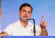 भाजपा-आरएसएस को तमिल भाषा या संस्कृति को नुकसान पहुंचाने नहीं देंगे: राहुल गांधी