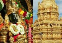 तिरुपति में भक्तों के लिए नि:शुल्क तिरुनामधारण सेवा फिर से शुरू