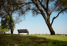 दफ्तर की बोरिंग लाइफ को कहिए अलविदा, इस शहर में हरियाली के बीच मिलेगा हाई-टेक ऑफिस