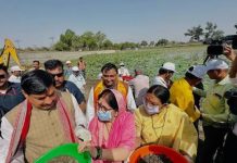 ऐतिहासिक धरोहरों और जल संरचनाओं का संरक्षण सरकार की प्राथमिकता : मुख्यमंत्री डॉ. यादव