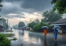 प्रदेश में मानसून पहुंचने में हो सकती है देरी, गर्मी का असर जारी, आज कुछ जिलों में आंधी-बारिश का अलर्ट
