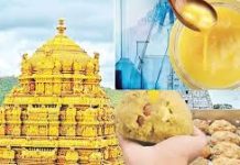तिरुपति के प्रसादम् घी मिलावट मामले में ईडी की देश के 15 स्थानों पर छापेमारी, 60 लाख नकद और 45 करोड़ की संपत्तियों का खुलासा
