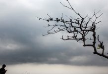 पूर्व, पूर्वोत्तर और दक्षिण भारत में भारी बारिश का आईएमडी का पूर्वानुमान