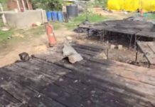अहमदाबाद की पटाखा फैक्ट्री में लगी भीषण आग, आठ लोगों की मौत, 15 से ज्यादा घायल