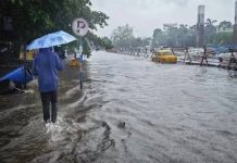 मध्य प्रदेश के 5 जिलों में भारी बारिश का अलर्ट