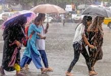 मप्र में मानसून के तीन मजबूत सिस्टम सक्रिय, आज 17 जिलों में भारी बारिश का अलर्ट