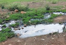 सडक़ की बदहाल स्थिति से परेशान कॉलोनीवासी