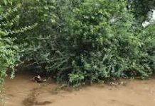 जबलपुर-रीवा-शहडोल में 3 दिन भारी बारिश की चेतावनी