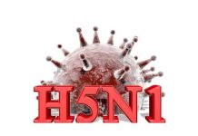 एच5एन1 को लेकर भारत में सतर्कता बढ़ी, विशेषज्ञों ने मानव, पशु और पर्यावरण की संयुक्त निगरानी मजबूत करने पर दिया जोर