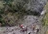 केदारनाथ पैदल मार्ग पर गिरा मलबा-पत्थर, चीरबासा के पास रास्ता अवरुद्ध; सोनप्रयाग-गौरीकुंड में रोकी गई यात्रा