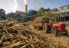 महाराष्ट्र : चीनी मिलों के लिए राहत पैकेज, सरकार लाएगी 2,000 करोड़ की आसान ऋण योजना