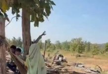 सीहोर कलेक्टर की जांच रिपोर्ट में वन भूमि पर कब्जे का दावा, 78,700 सागौन के पौधे नष्ट होने का उल्लेख