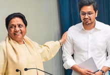 आकाश आनंद की बसपा में वापसी, मायावती ने बड़े भतीजे को फिर बनाया नेशनल कोऑर्डिनेटर
